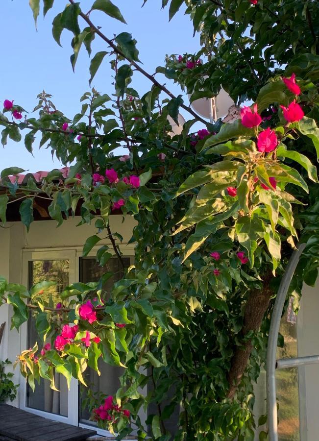 La Casa Di Mare Vila Agios Gordios  Exterior foto